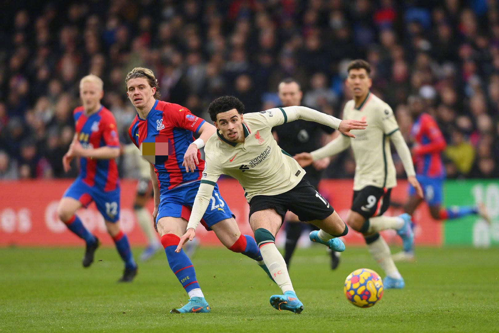 想要在球场 想要在球场